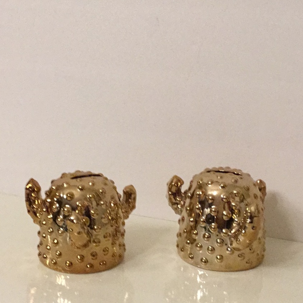 Pier 1 set of cactus banks
